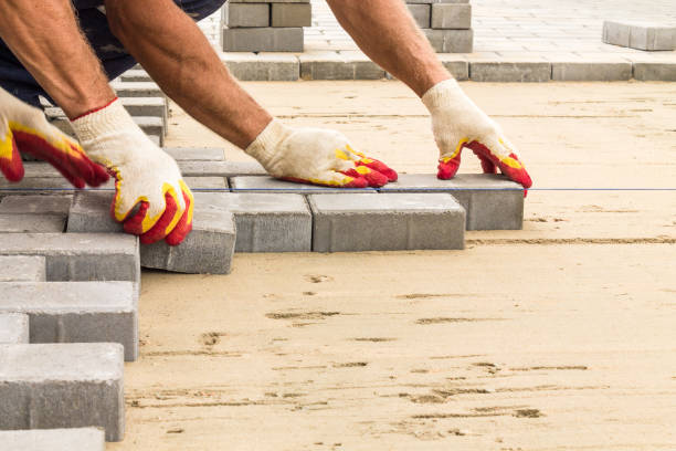 Best Decorative Driveway Pavers  in Dania Beach, FL