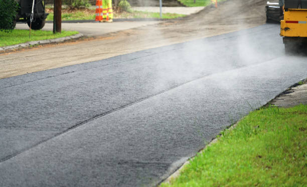 Best Custom Driveway Pavers  in Dania Beach, FL